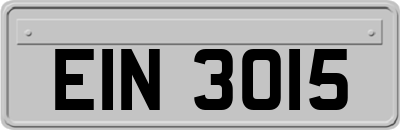EIN3015