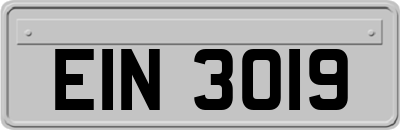 EIN3019