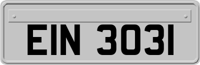 EIN3031