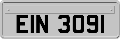 EIN3091