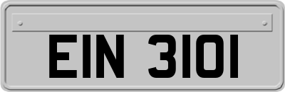 EIN3101