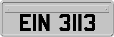 EIN3113