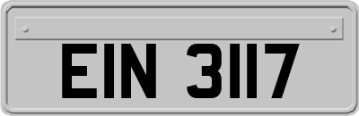 EIN3117