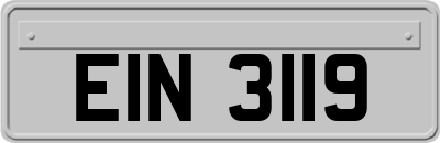 EIN3119