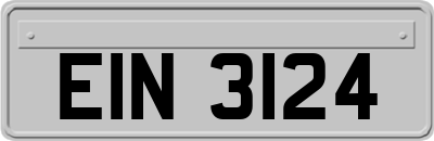 EIN3124