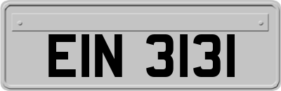 EIN3131