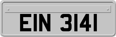 EIN3141