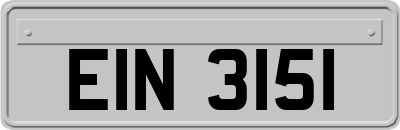 EIN3151