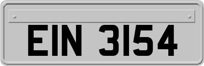 EIN3154