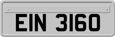 EIN3160