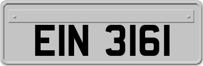 EIN3161