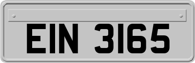 EIN3165