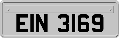 EIN3169