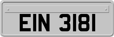 EIN3181