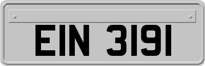 EIN3191