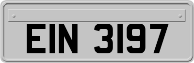 EIN3197