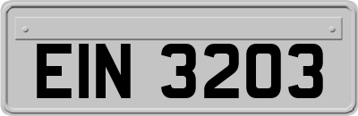 EIN3203