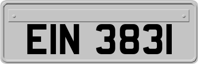 EIN3831