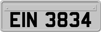 EIN3834