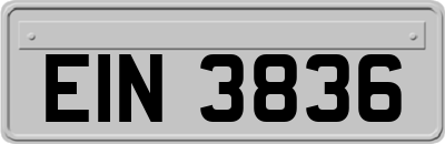 EIN3836