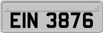 EIN3876