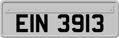 EIN3913