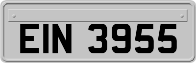 EIN3955