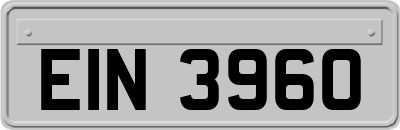 EIN3960