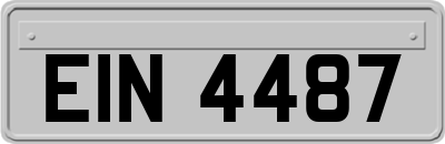 EIN4487
