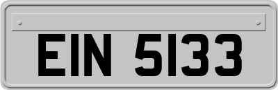 EIN5133