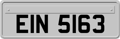 EIN5163
