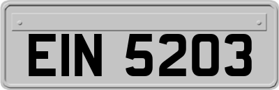 EIN5203