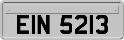 EIN5213