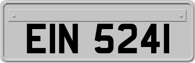 EIN5241