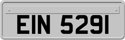 EIN5291
