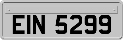 EIN5299