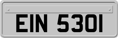 EIN5301