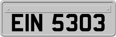 EIN5303