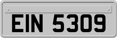 EIN5309