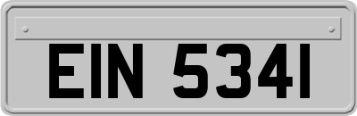 EIN5341