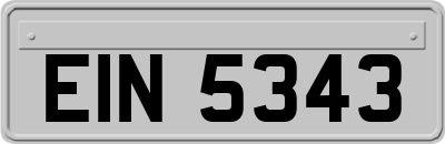 EIN5343