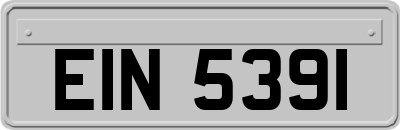 EIN5391