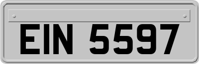 EIN5597