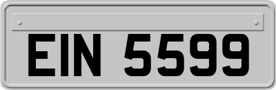 EIN5599