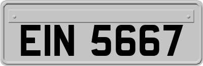 EIN5667