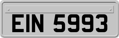 EIN5993