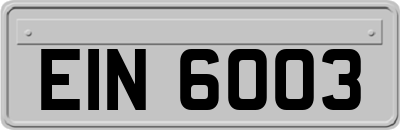 EIN6003