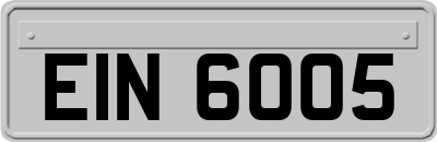 EIN6005