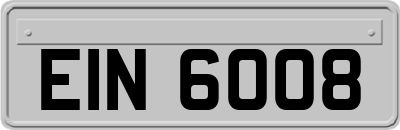 EIN6008