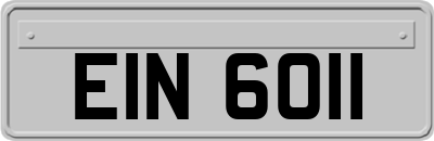 EIN6011